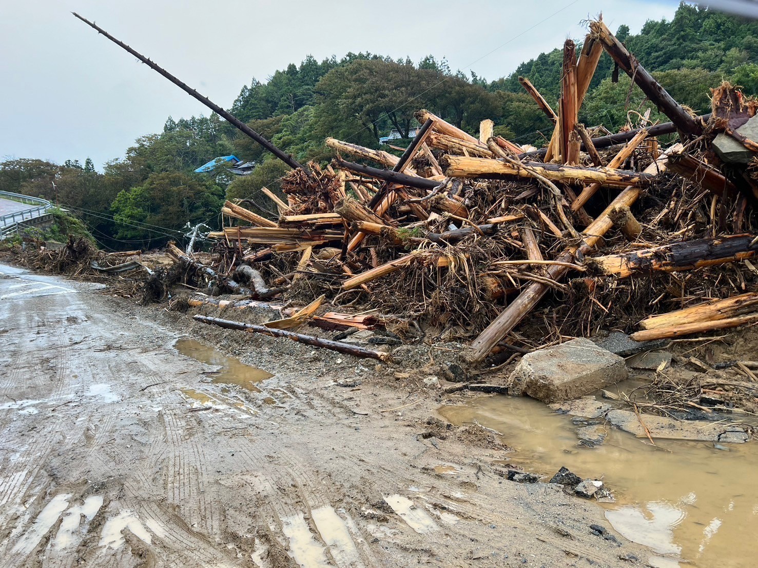 【災害対策】玉木代表が輪島市を視察