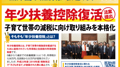 【国民民主PRESS・号外】－令和7年10月31日発行版－